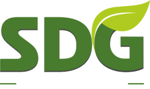 SDG logo